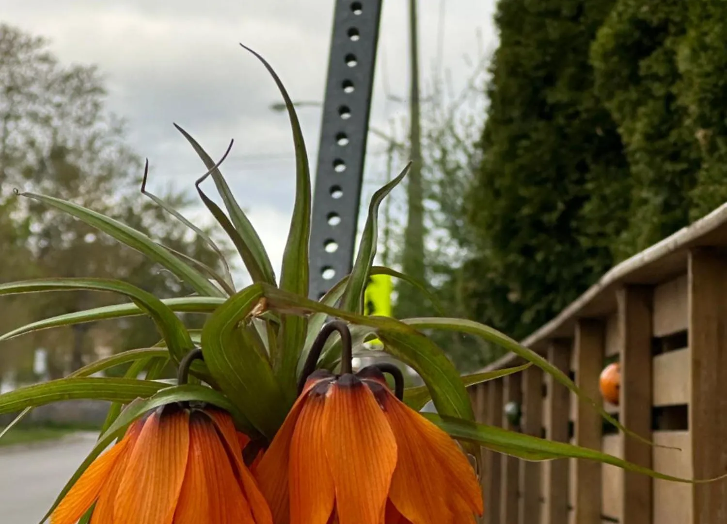 Lower Loft Suite -Space Share Toronto