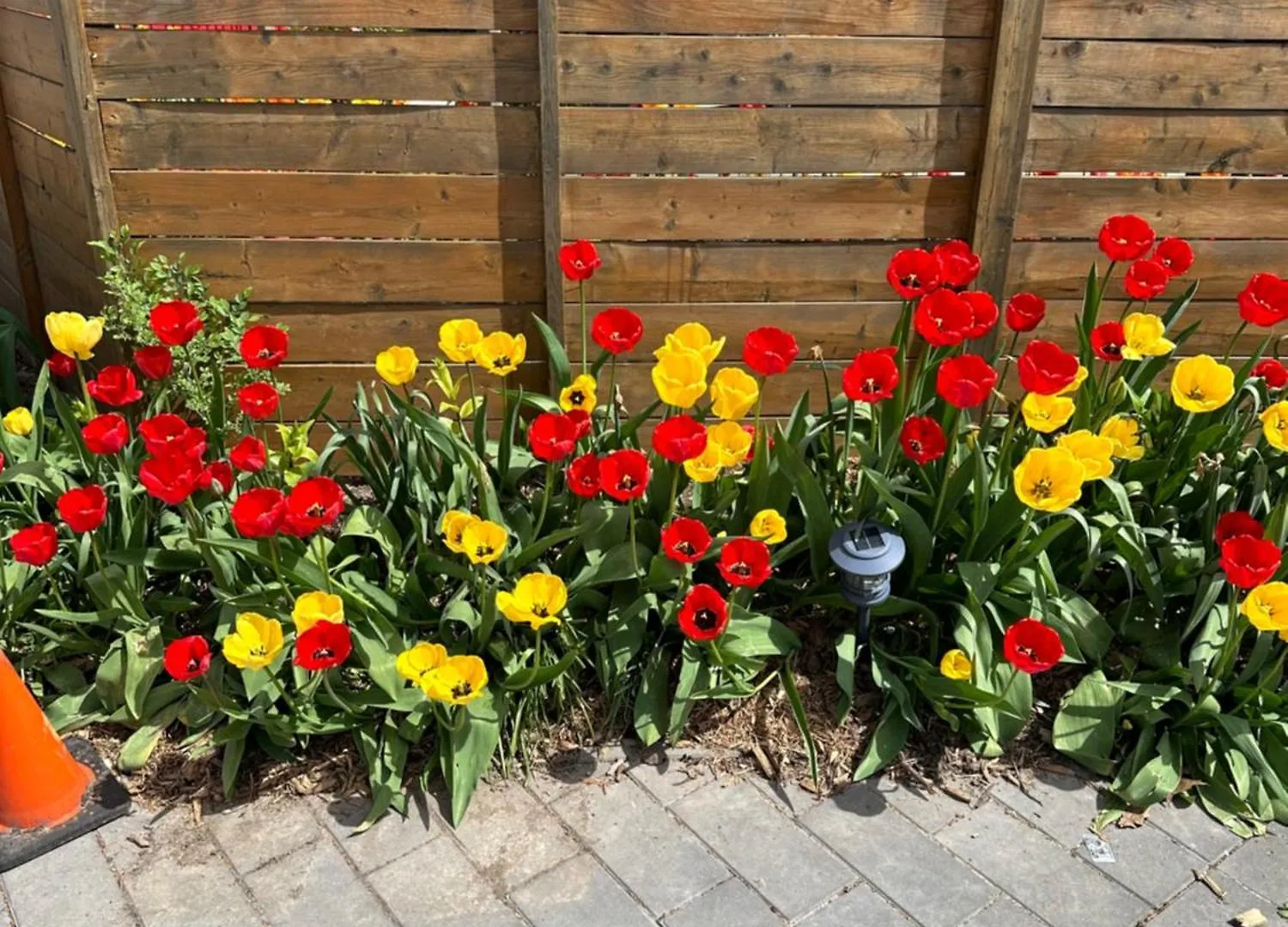 Apartamento Lower Loft Suite -Space Share Toronto