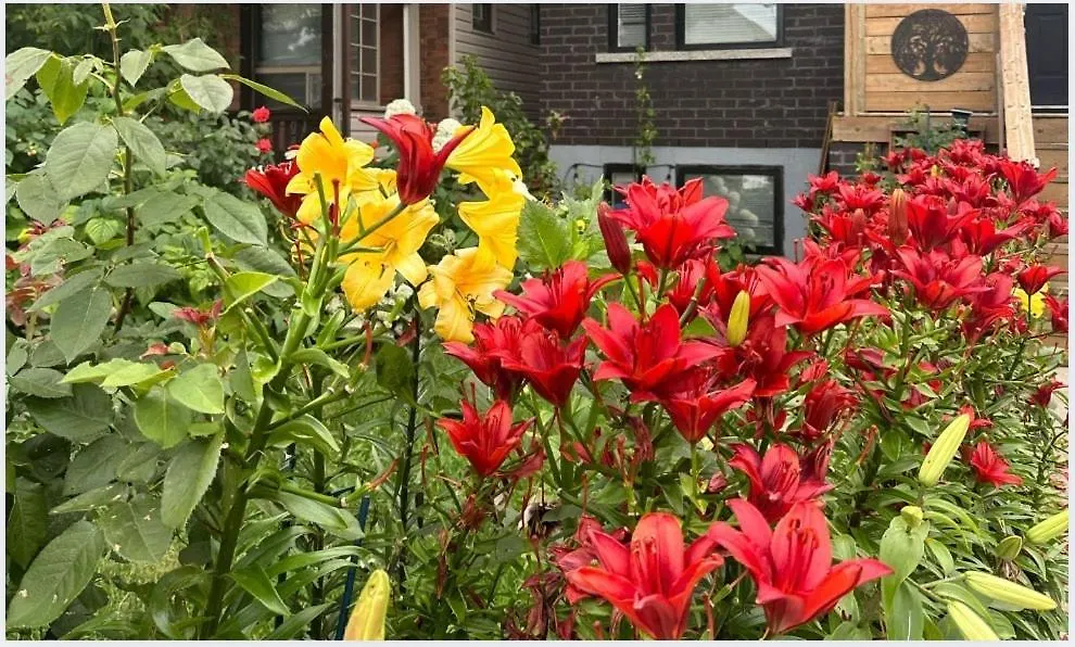 Lower Loft Suite -Space Share Toronto 0*,